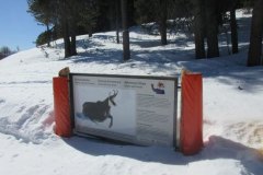 image-47
